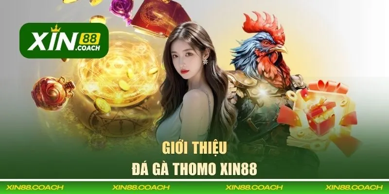Tìm hiểu đôi nét về trận đá gà Thomo